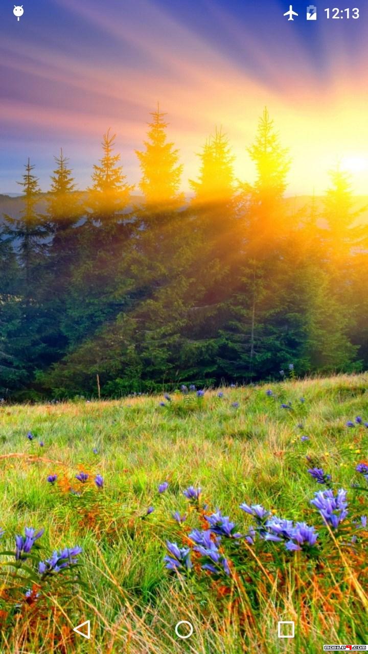 Download Beautiful Sunrise 3D Live Wallpaper Android Live Wallpapers -  4492454 | mobile9