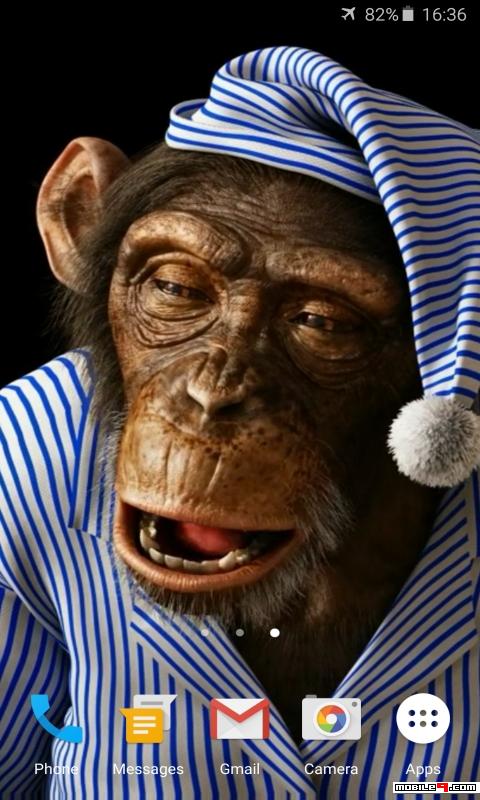Download Funny Monkey 3D Live Wallpaper Android Live Wallpapers - 4582625 -  play angry very Wallpaper Live Monkey Funny | mobile9