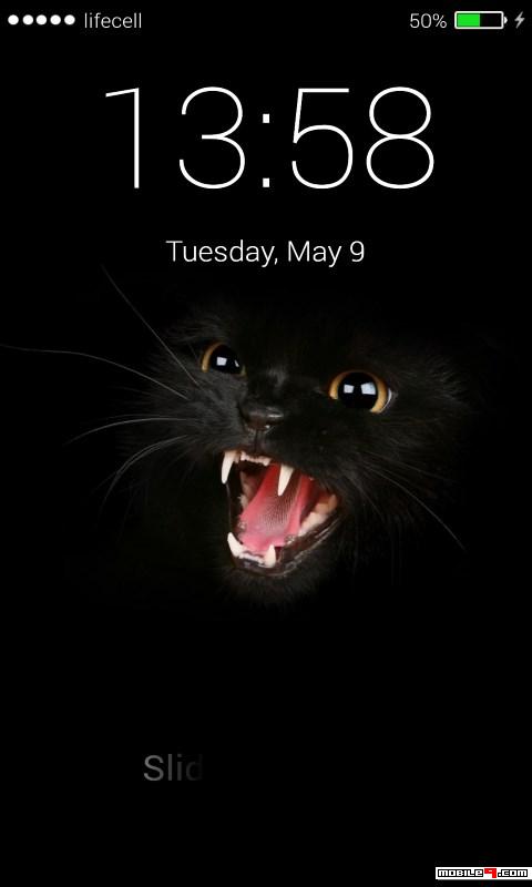 Download Cats Lock Wallpaper Android Live Wallpapers - 4751674 - Wallpaper Lock Cats | mobile9