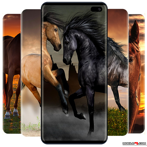 Download Horses Wallpapers & Lock Screen Android Live Wallpapers ...